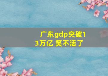 广东gdp突破13万亿 笑不活了